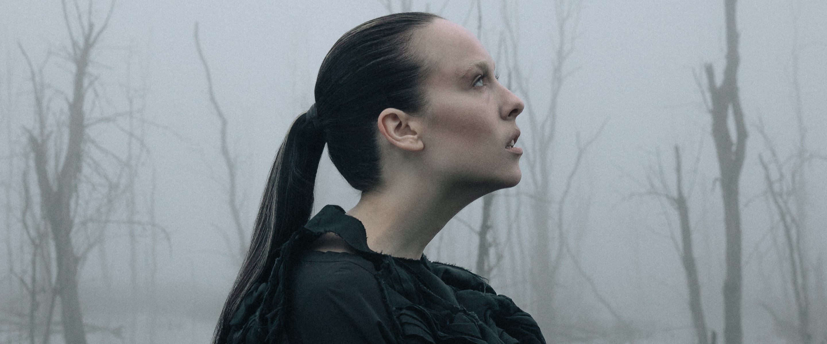 Allie X