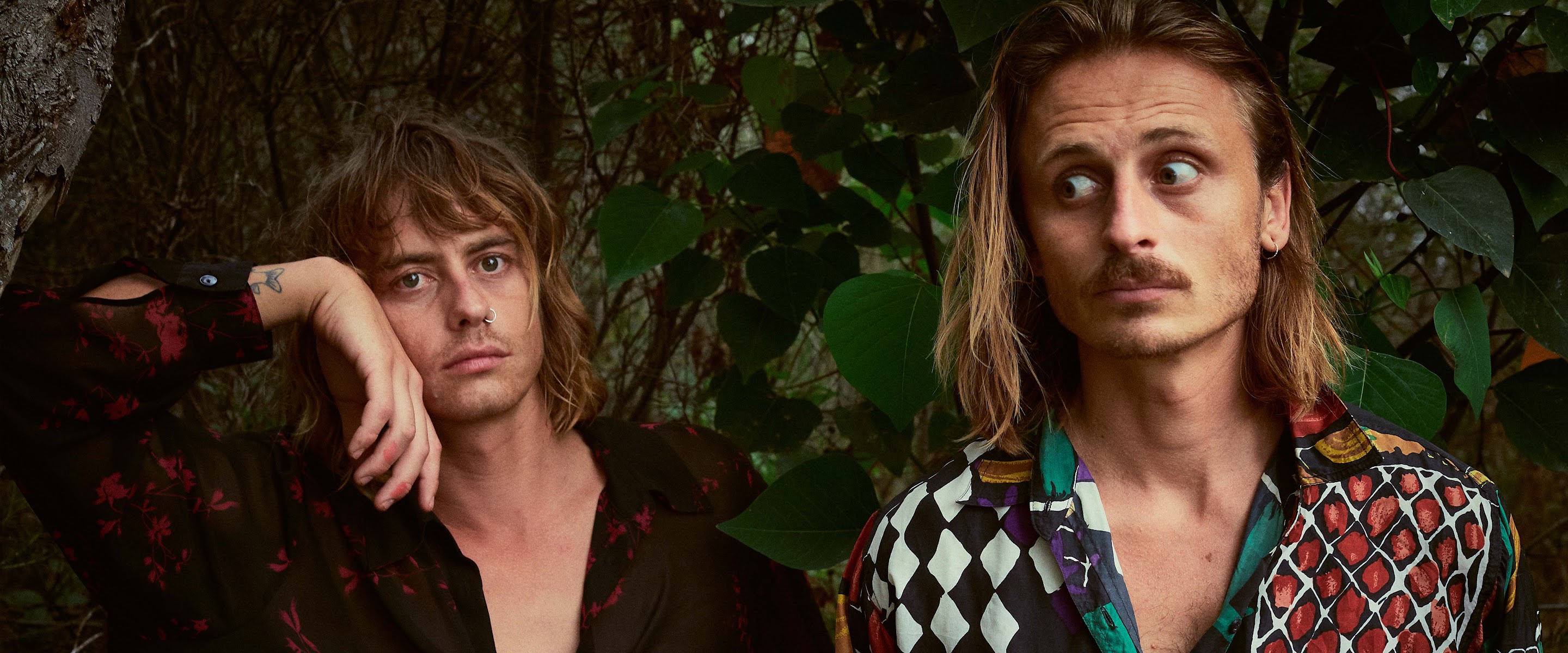 Lime Cordiale