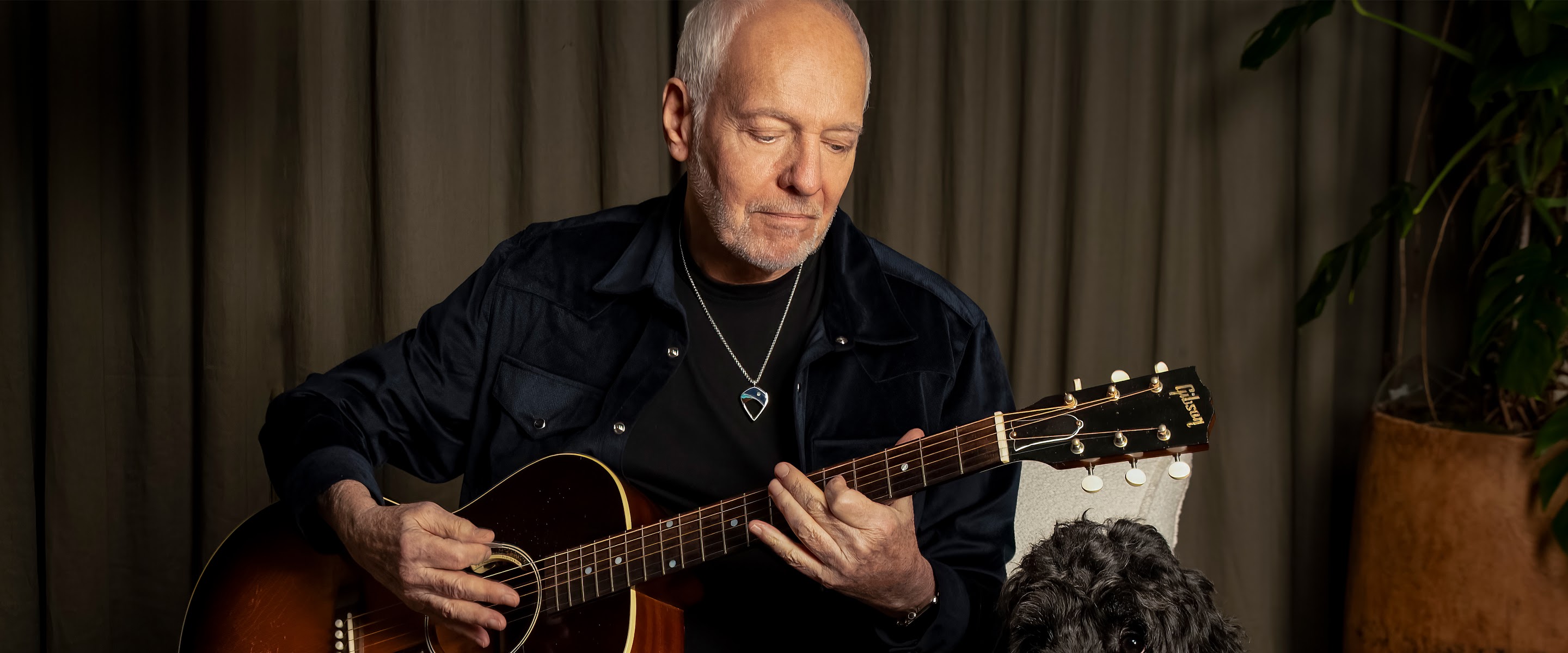 Peter Frampton