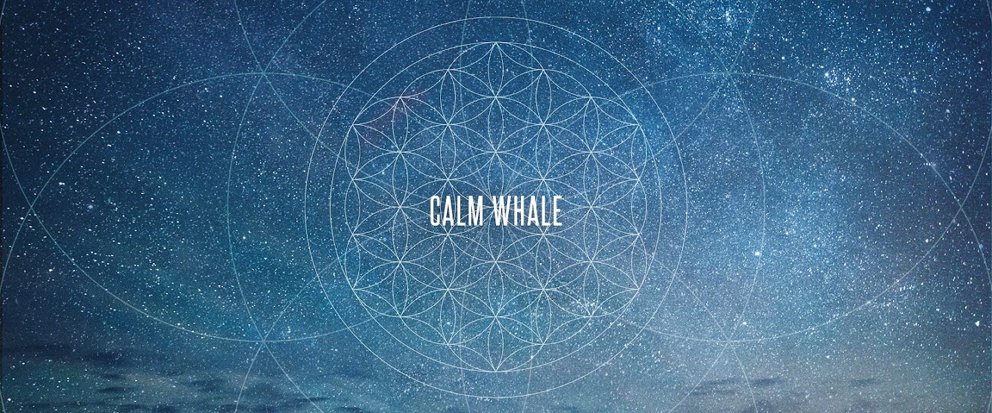 Calm Whale
