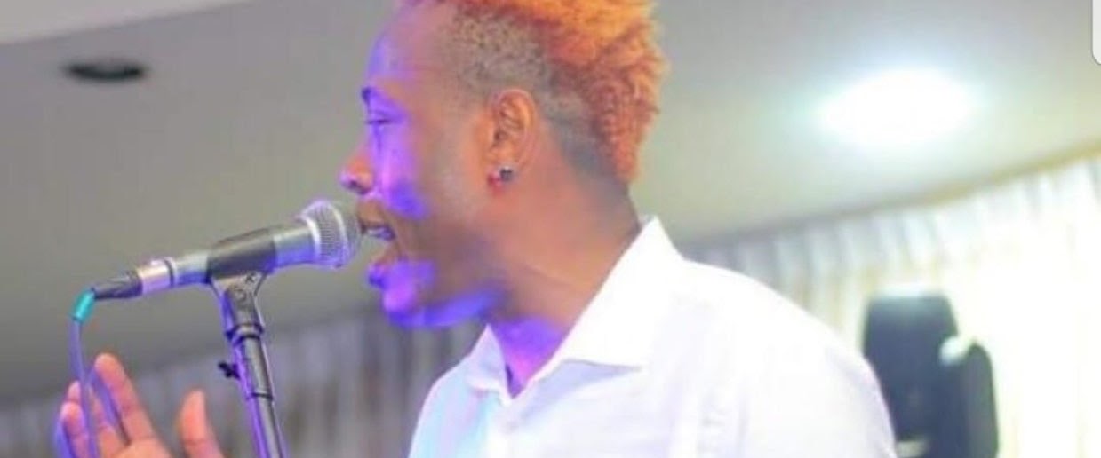 Disip de Gazzman Couleur