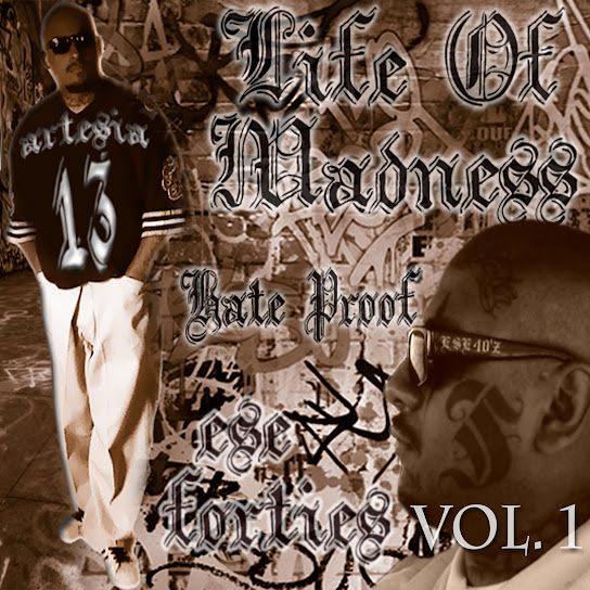 Life Of Madness, Vol. 1