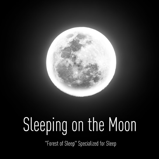 Sleeping on the Moon