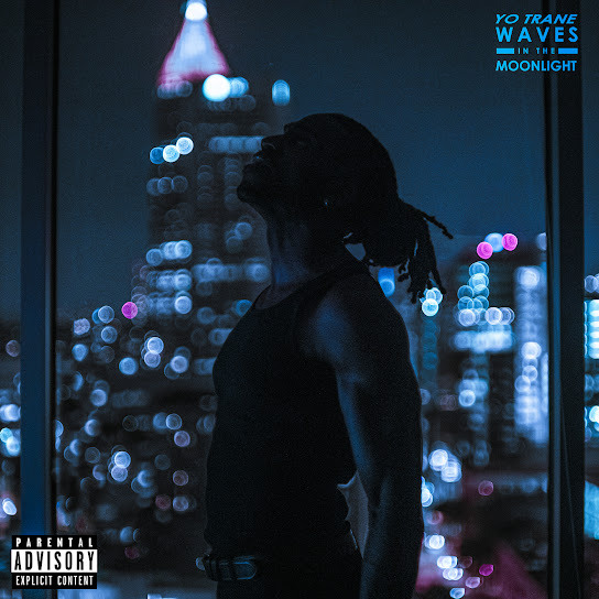 Waves In The Moonlight