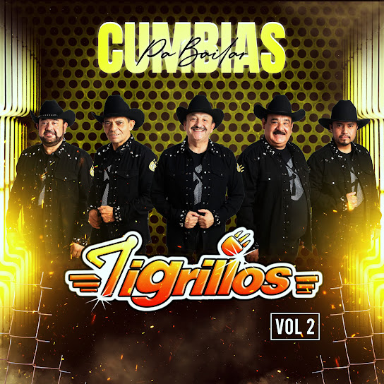 Cumbias Pa´bailar Vol. 2