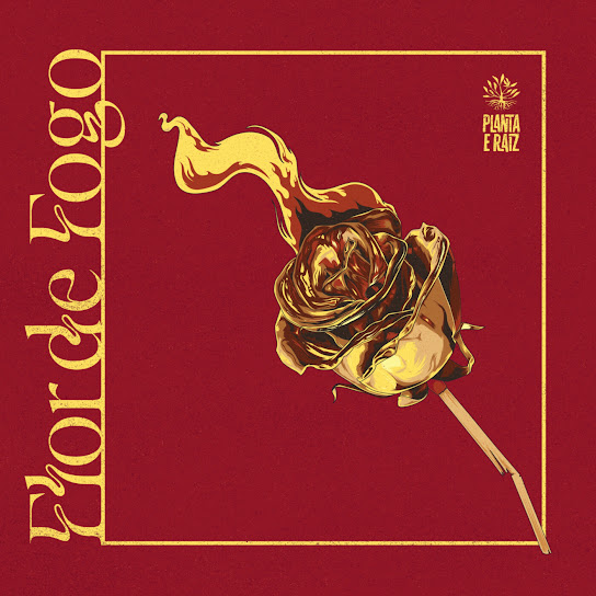 Flor de Fogo