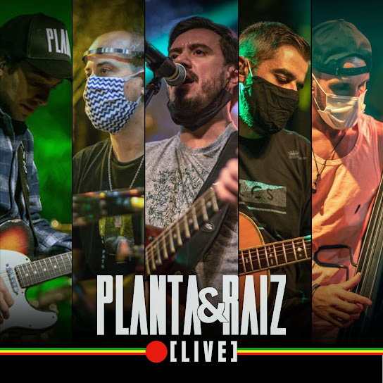 Planta e Raiz Live