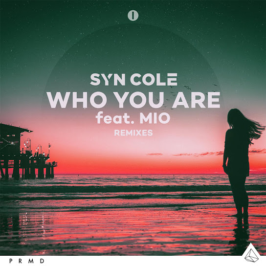 Who You Are (Remixes) (feat. MIO)