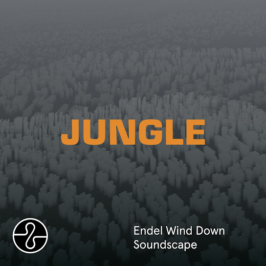 JUNGLE (Endel Wind Down Soundscape)
