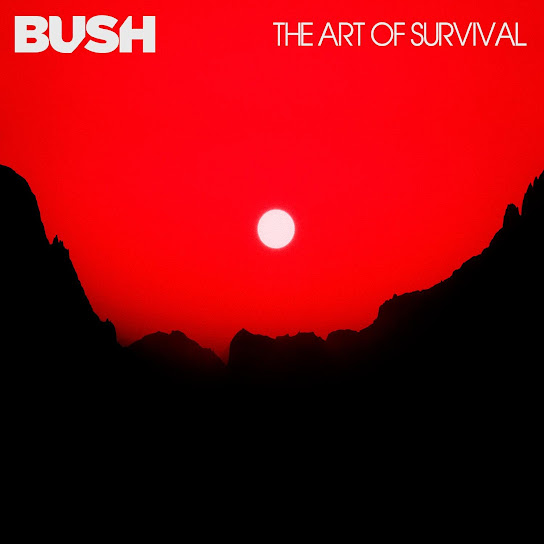The Art Of Survival