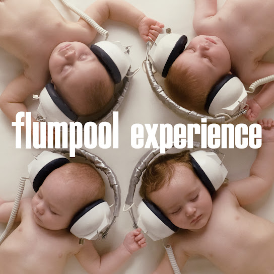 Experience