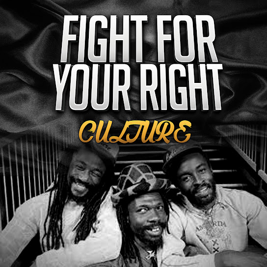 Fight for Your Right