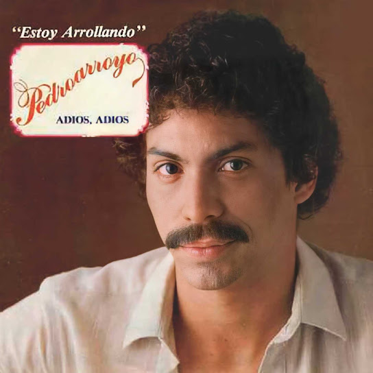 Estoy Arroyando