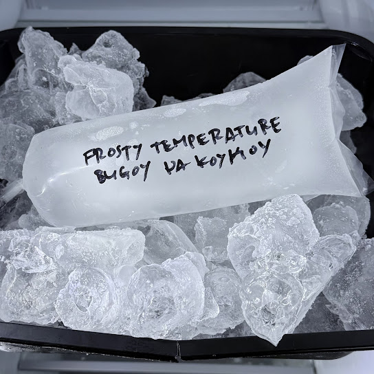 FROSTY TEMPERATURE