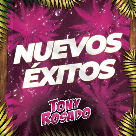 Nuevos Éxitos