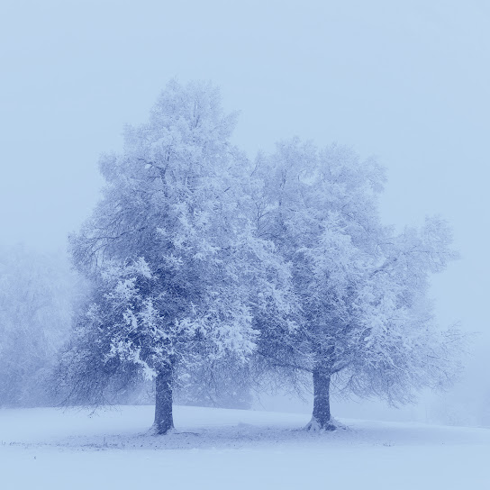 Winter Solace II