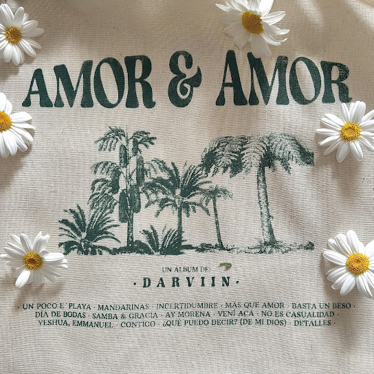 AMOR & AMOR