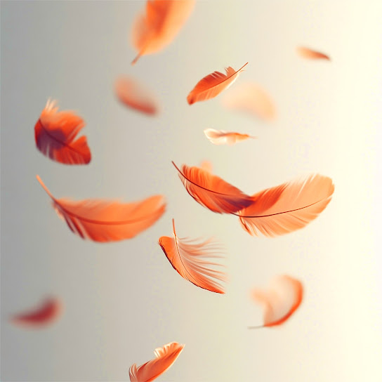 Feather Third Album