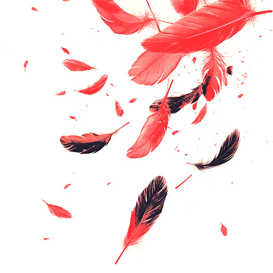 Feather Forth Album