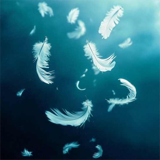 Feather Second Album