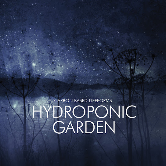 Hydroponic Garden