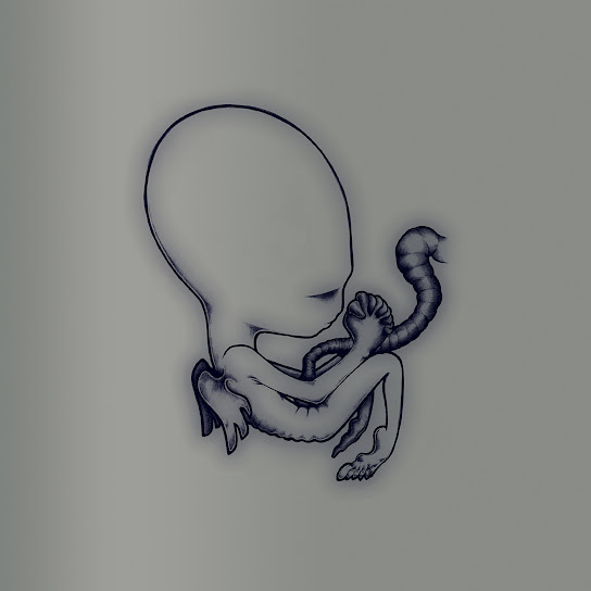 Ágætis byrjun (A Good Beginning) (20th Anniversary Deluxe Edition)
