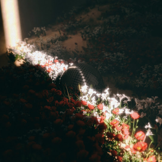 Homecoming (Espanõl)