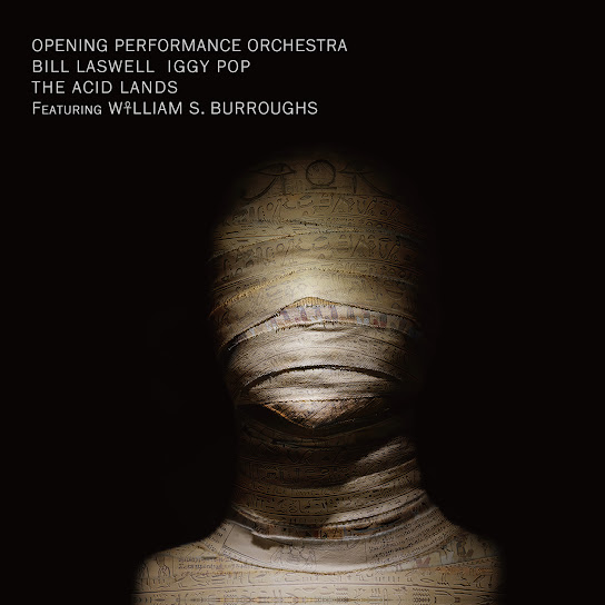The Acid Lands (feat. William S. Burroughs)