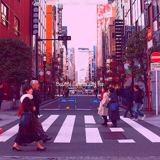 Music for Tokyo Cafes - Successful City Pop