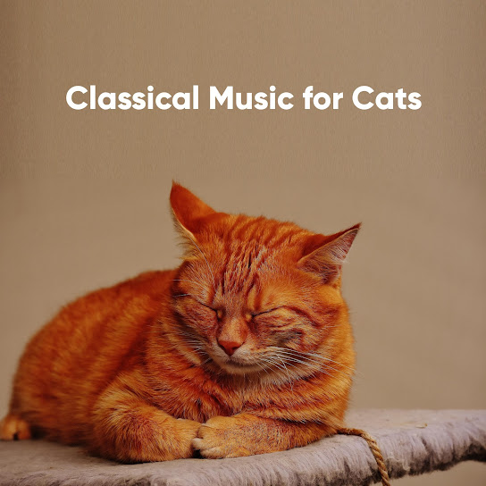 Cat Classical