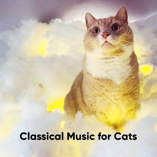 Cat Music