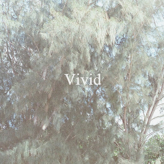 Vivid