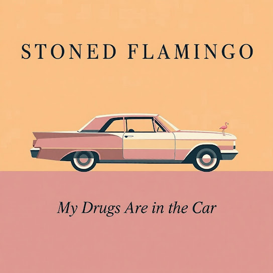 My Drugs Are in the Car