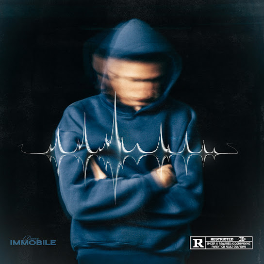 IMMOBILE