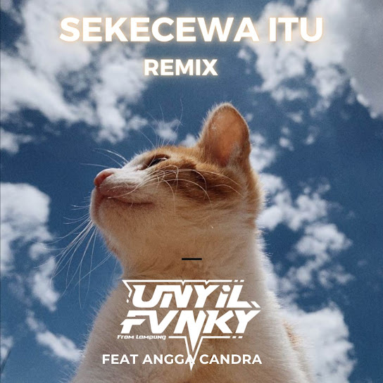 Sekecewa Itu (Remix)