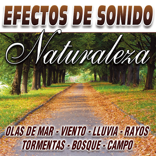 Efectos De Sonido Vol.9
