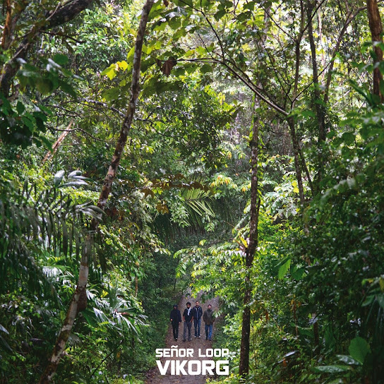Vikorg
