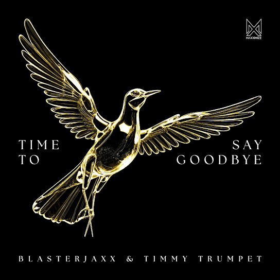 Time To Say Goodbye