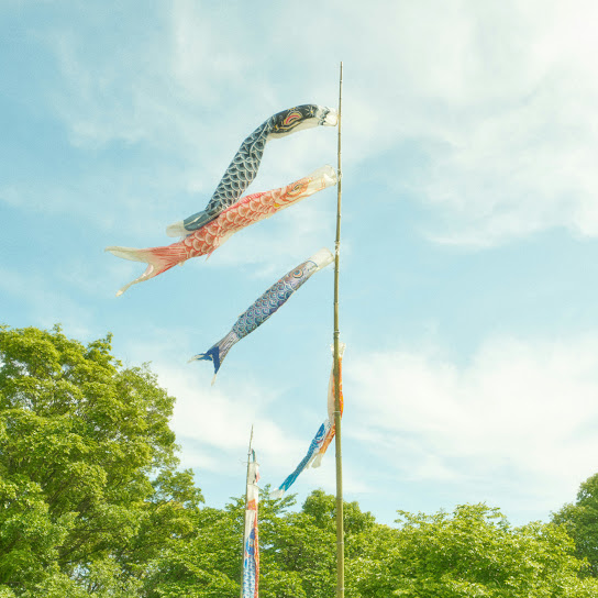 Carp Streamers