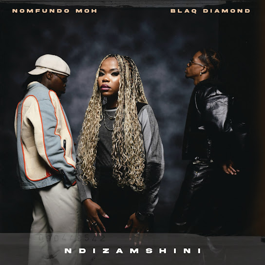 Ndizamshini