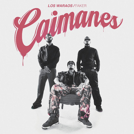 Caimanes