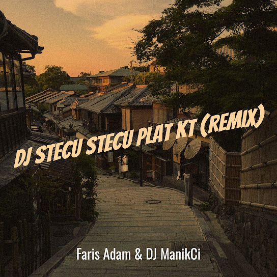 DJ Stecu Stecu Plat Kt (Remix)