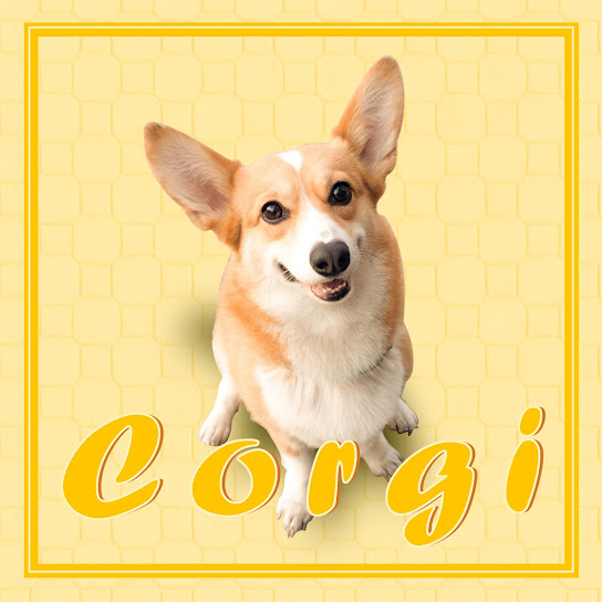 Corgi