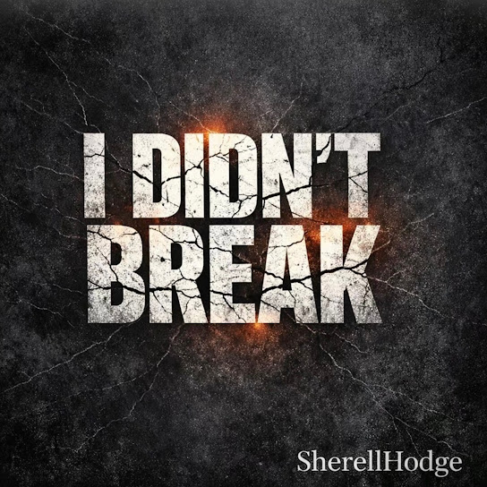 I Didn't Break