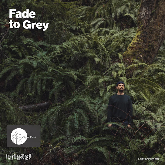 Fade to Grey