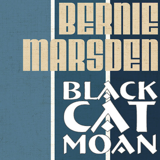 Black Cat Moan