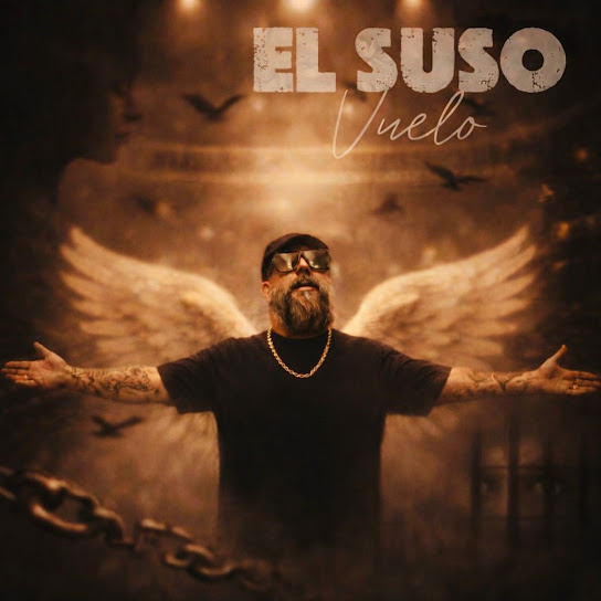 Vuelo