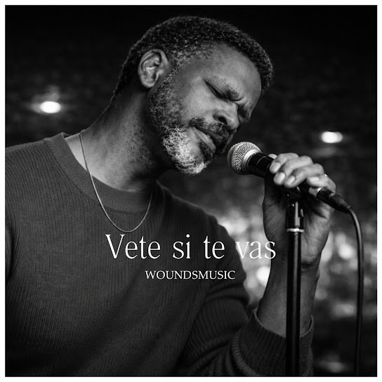 Vete si te vas