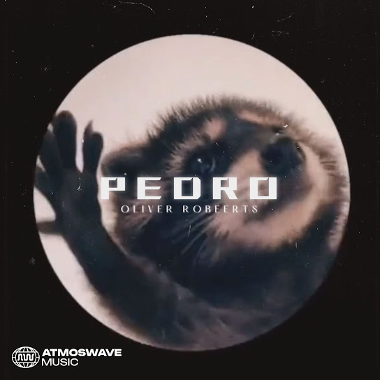 Pedro Pedro Pedro (Hardstyle)