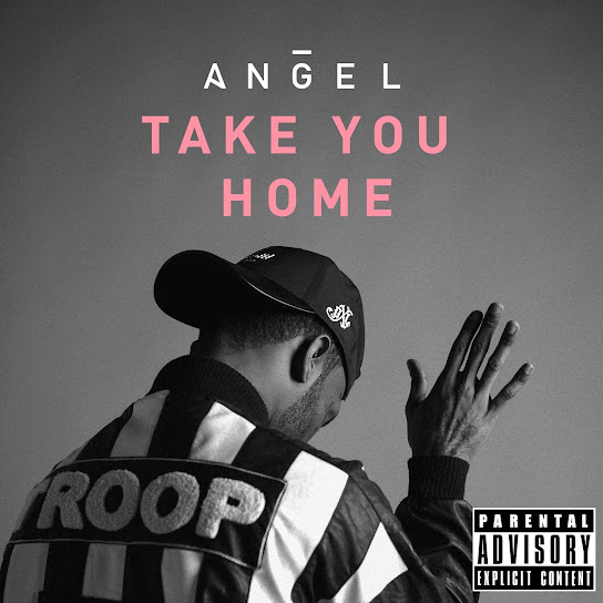 Take You Home